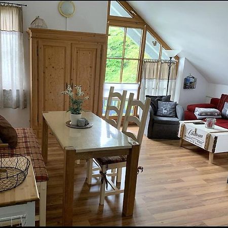 Ferienland Sonnenwald Fewo 46 Und Studio 50 In Schoefweg Bayerischer Wald Εξωτερικό φωτογραφία