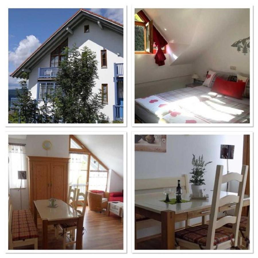 Ferienland Sonnenwald Fewo 46 Und Studio 50 In Schoefweg Bayerischer Wald Εξωτερικό φωτογραφία