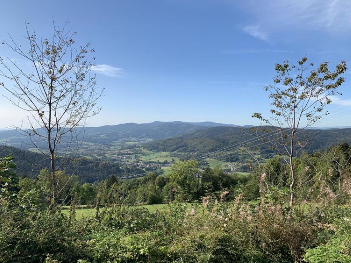 Ferienland Sonnenwald Fewo 46 Und Studio 50 In Schoefweg Bayerischer Wald Εξωτερικό φωτογραφία