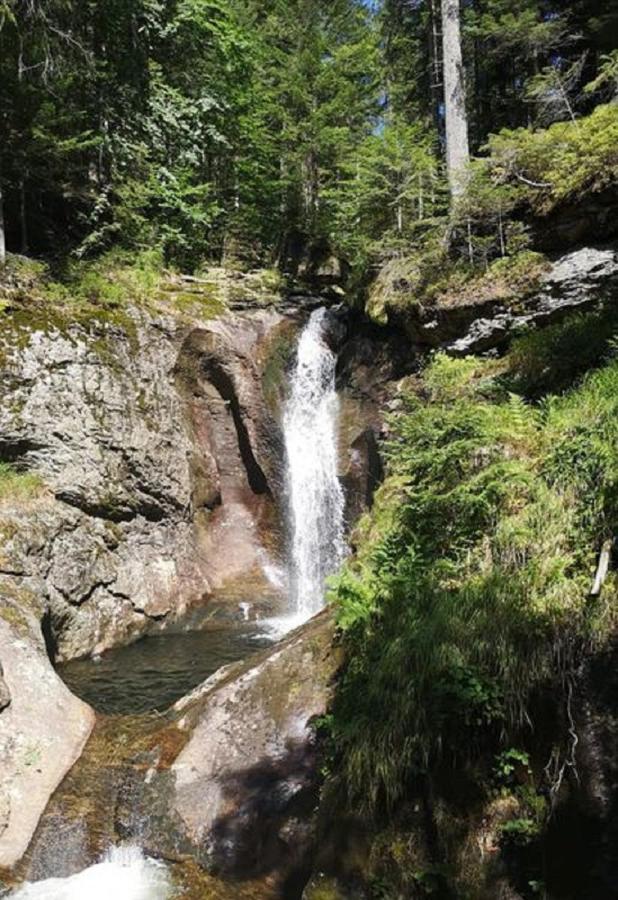 Ferienland Sonnenwald Fewo 46 Und Studio 50 In Schoefweg Bayerischer Wald Εξωτερικό φωτογραφία