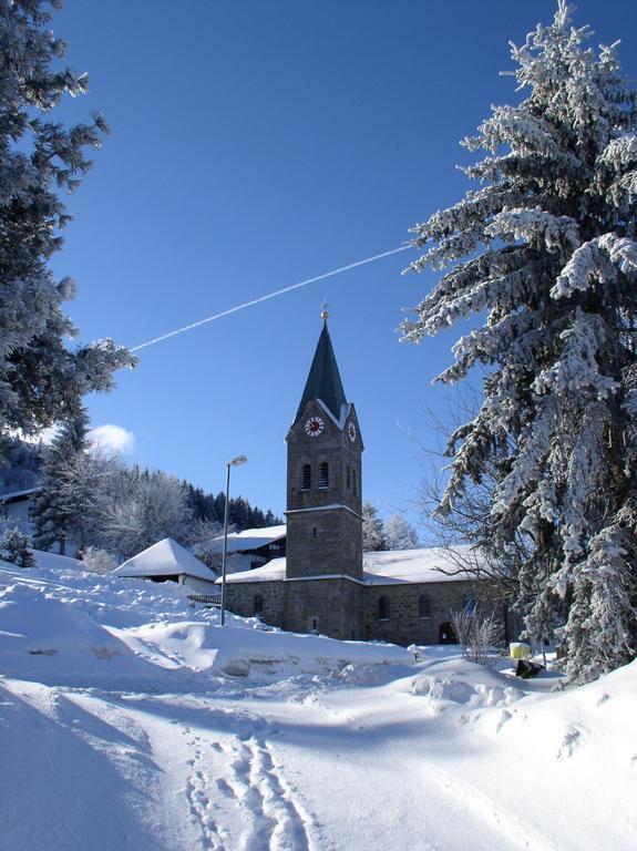 Ferienland Sonnenwald Fewo 46 Und Studio 50 In Schoefweg Bayerischer Wald Εξωτερικό φωτογραφία