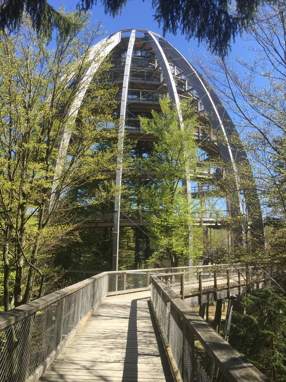 Ferienland Sonnenwald Fewo 46 Und Studio 50 In Schoefweg Bayerischer Wald Εξωτερικό φωτογραφία