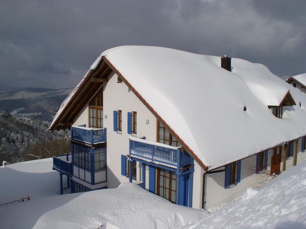 Ferienland Sonnenwald Fewo 46 Und Studio 50 In Schoefweg Bayerischer Wald Εξωτερικό φωτογραφία